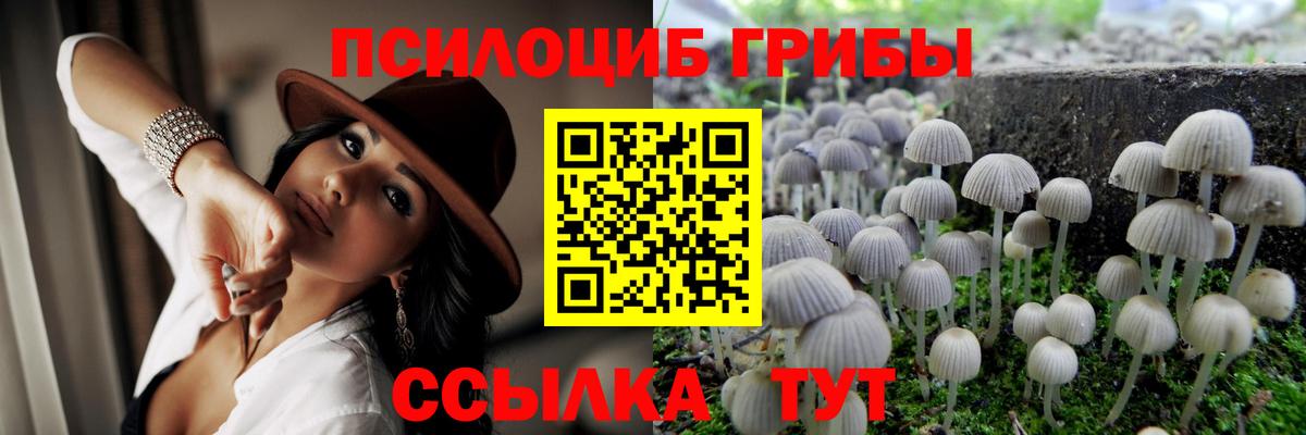 Галлюциногенные грибы Cubensis  Галлюциногенные грибы Psilocybe  Нягань  Вход с VPN 